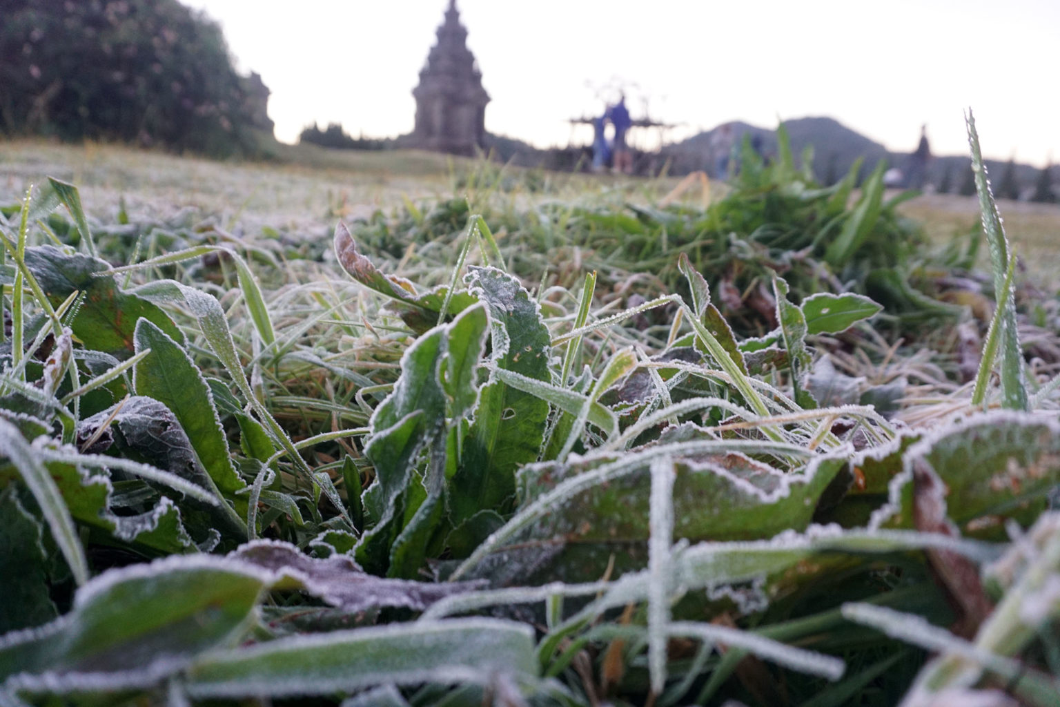 Perbedaan Antara Embun Es di Dieng dan Salju di Papua