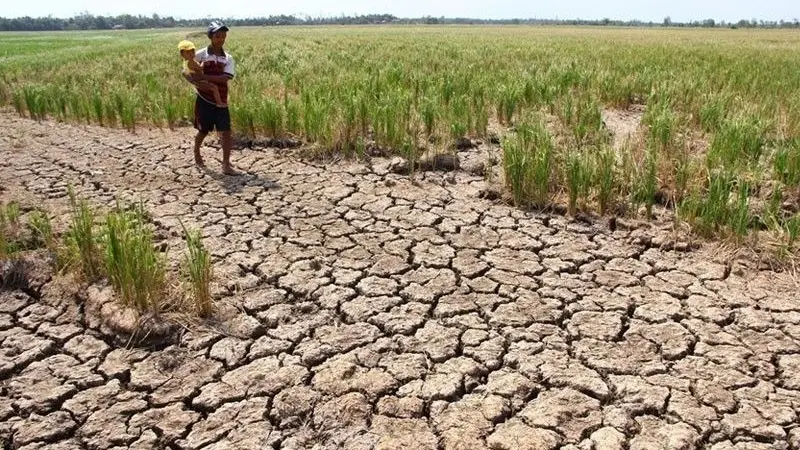 Pemprov Jatim Antisipasi Dampak El Nino terhadap Pertanian