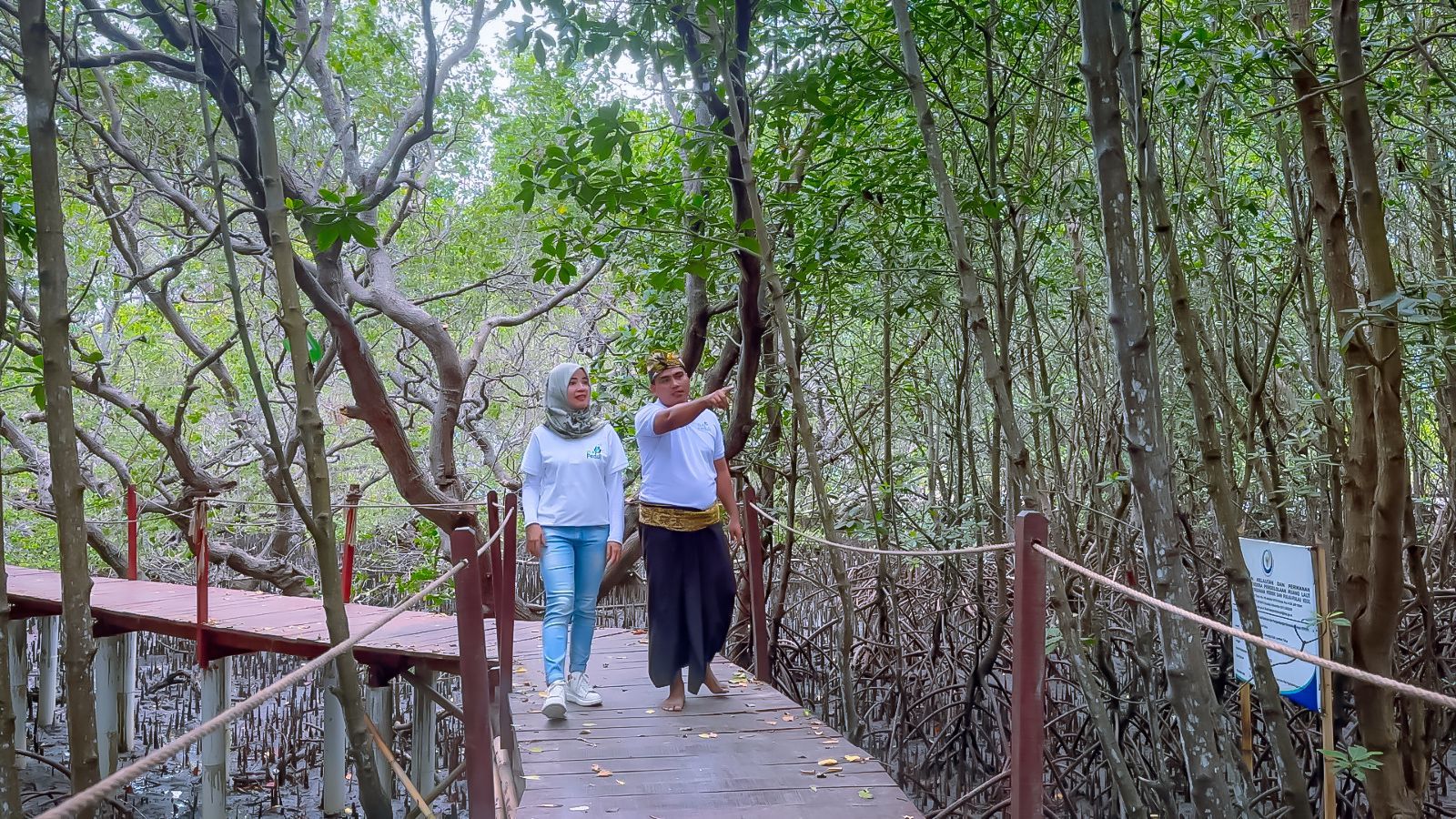 Ekowisata Hutan Mangrove Tingkatkan Ekonomi Masyarakat Lombok Timur