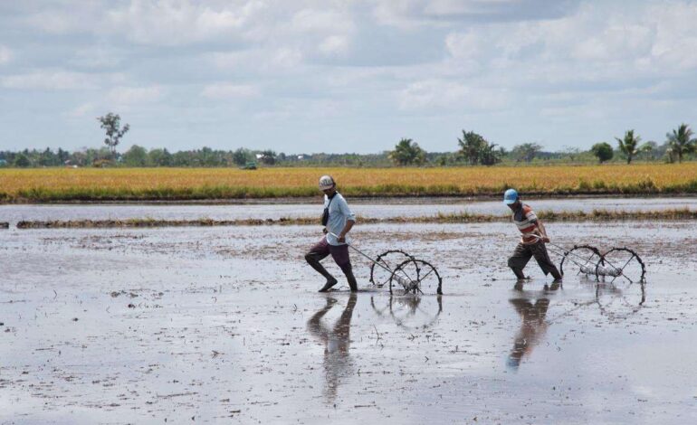 Kementan Rampungkan Proyek Optimasi Lahan Rawa di Merauke