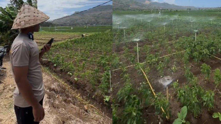 Petani Gaul Gunakan Google Assistant untuk Siram Sawah, Ternyata Seorang Polisi