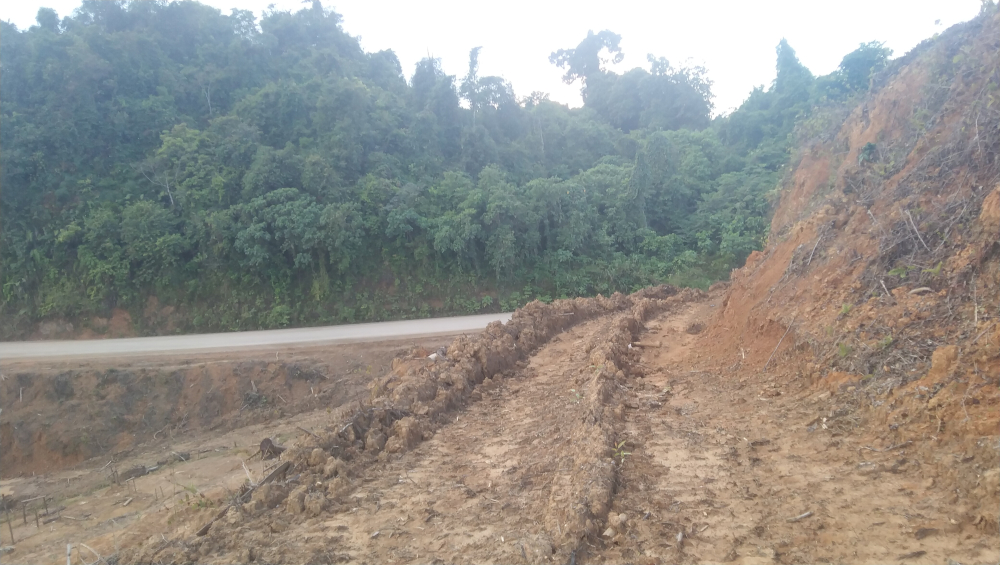 Lahan PT ITCI Berbatasan dengan Hutan Konservasi, Ekosistem Terganggu