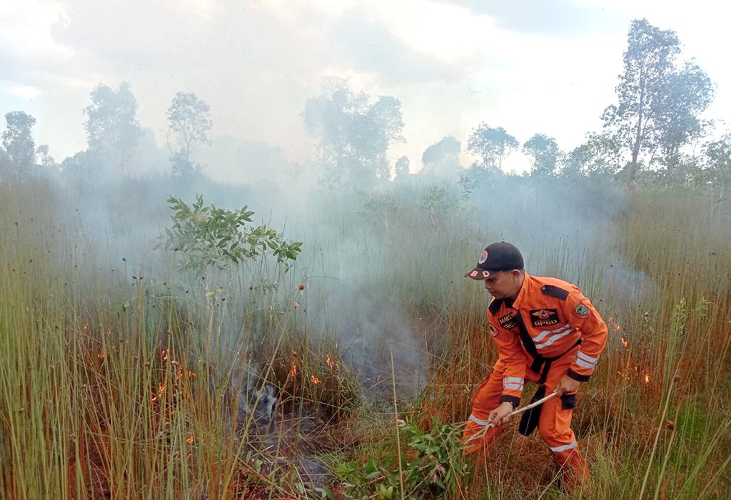 Tim Satgas Kalsel Berhasil Padamkan 790 Hektare Kebakaran Hutan dan Lahan