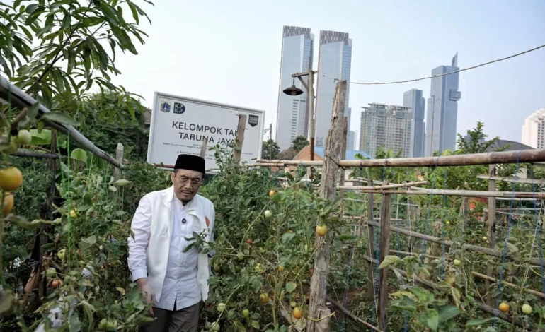 Jakarta Miliki Potensi Besar Kembangkan Pertanian Perkotaan