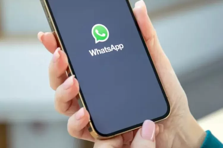 WhatsApp Hadirkan Fitur untuk Pisahkan Chat Pribadi dan Pekerjaan agar Lebih Produktif